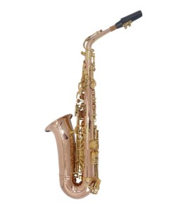 EARLYNN Saxophone Alto...