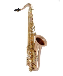 EARLYNN Saxophone Ténor...